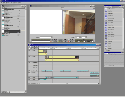 PremiereShot.gif (25183 bytes)