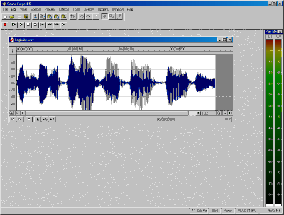SoundForgeShot.gif (16391 bytes)